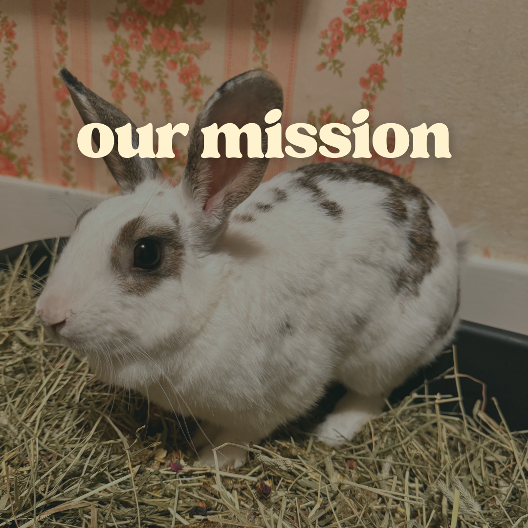 Our Mission